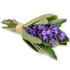 Rama de Salvia